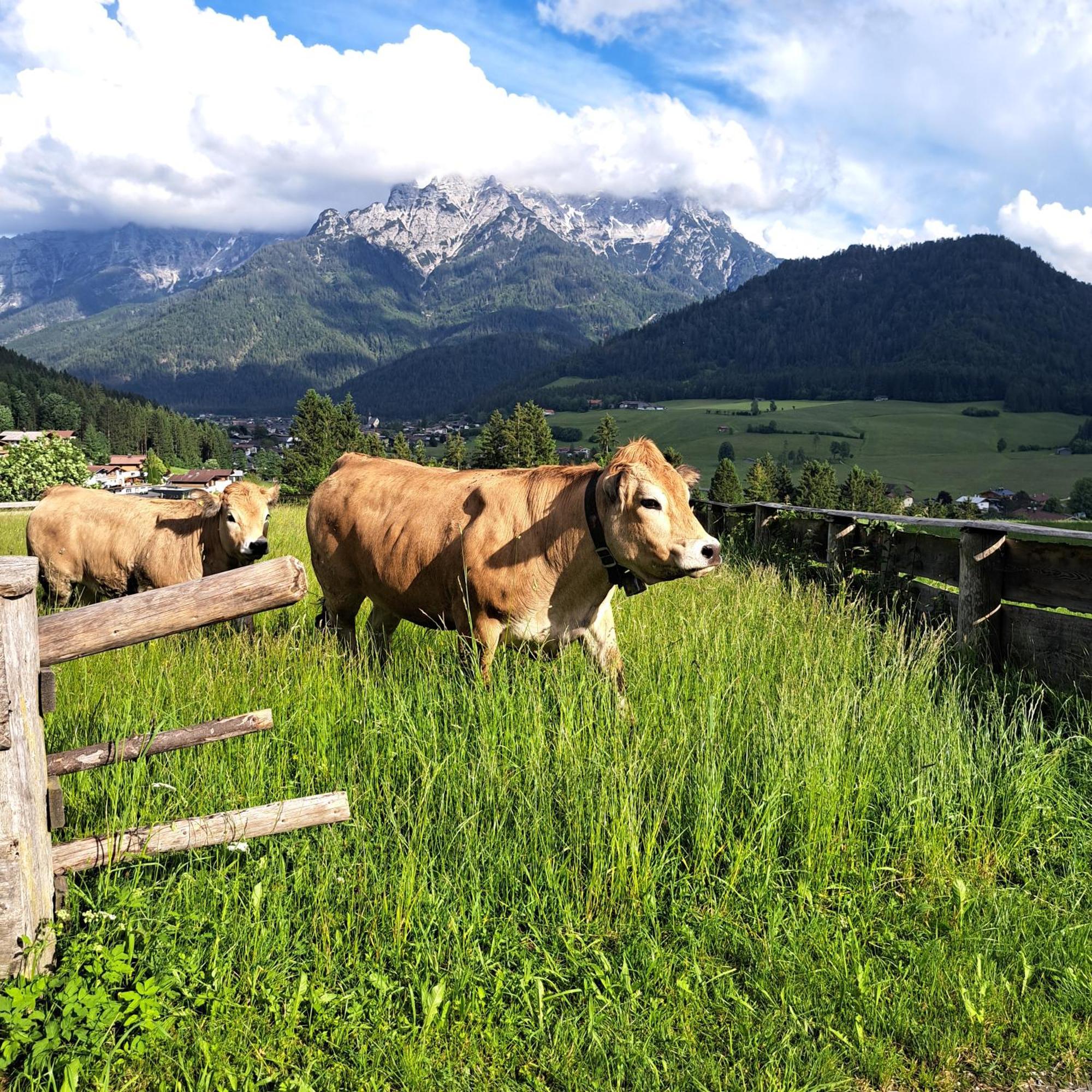 Bommerhof Вайдринг Екстер'єр фото