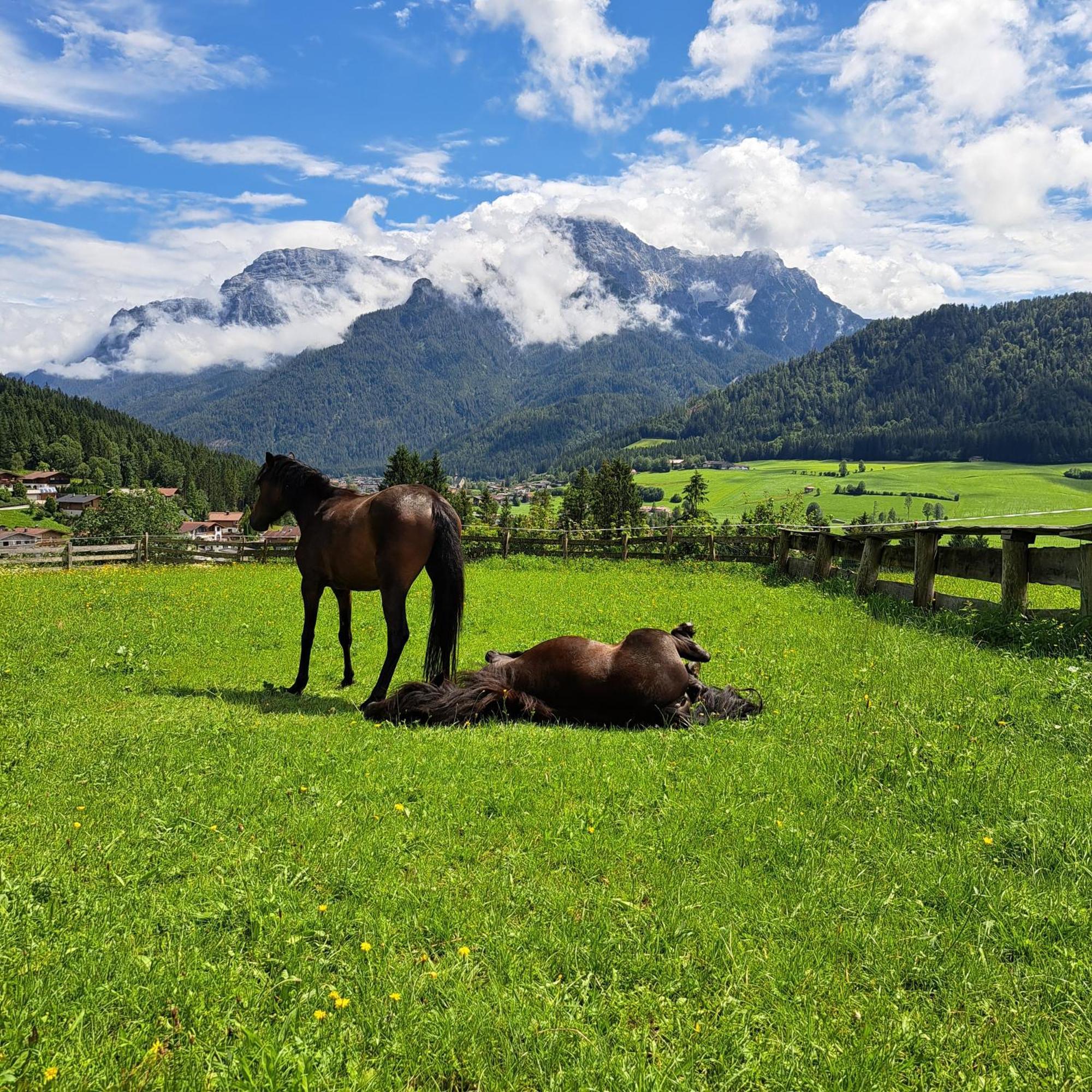 Bommerhof Вайдринг Екстер'єр фото